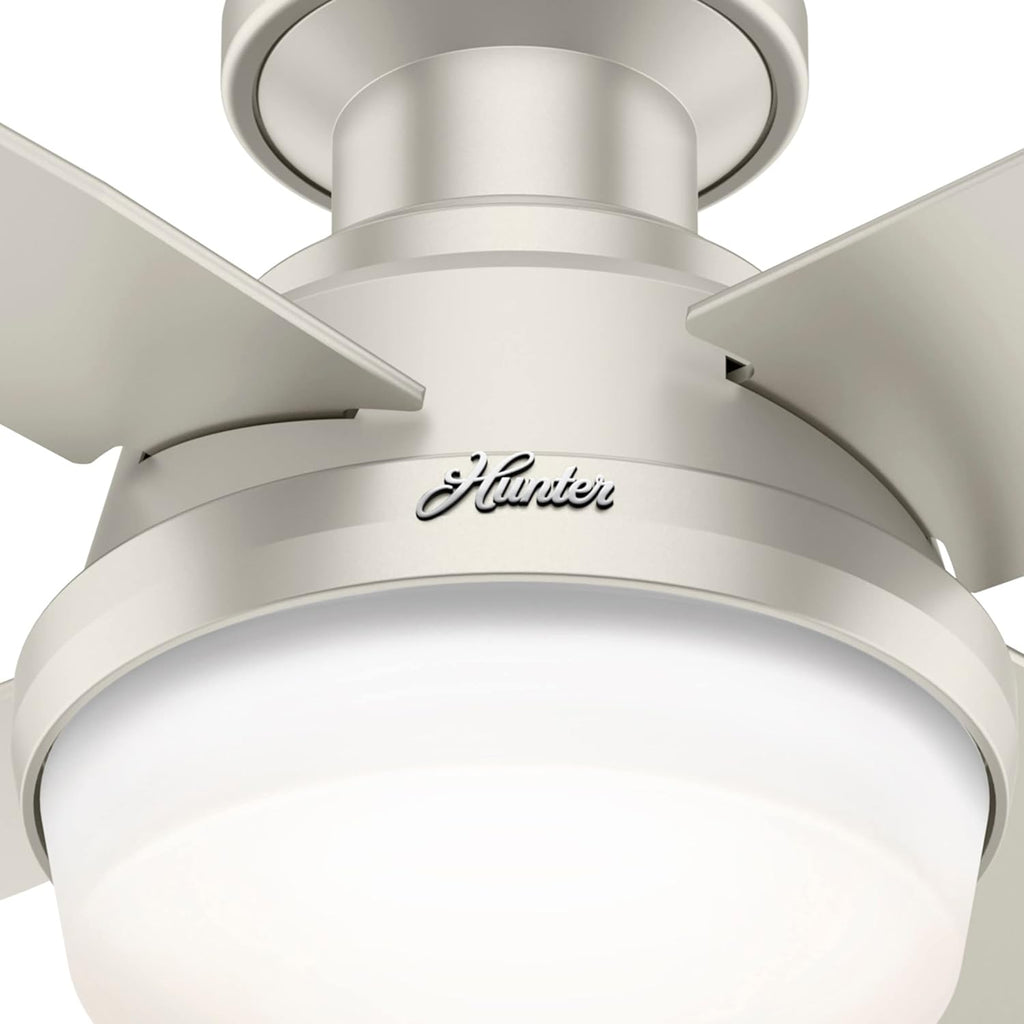 Hunter Fan Company Dempsey Low Profile Indoor / Outdoor Ceiling Fan with LED Light and Remote Control, 44